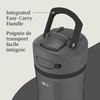 Contigo Ashland 2.0 Leak-Proof Water Bottle with Straw and Carry