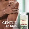 Old Spice GentleMan's Aluminum Free Dry Feel Deodorant for Men,