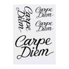 4 x 'Carpe Diem' Temporary Tattoos - Water Resistant, Skin-Safe,