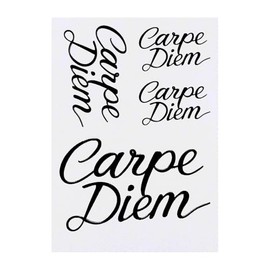 4 x 'Carpe Diem' Temporary Tattoos - Water Resistant, Skin-Safe, Non-Toxic Transfers, Mixed Sizes (TO00081170)