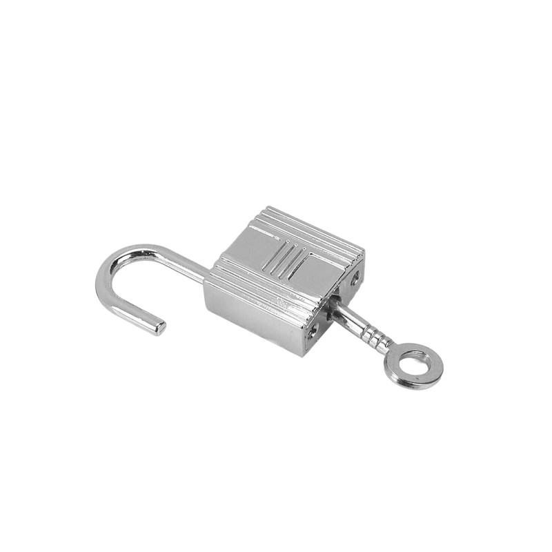 Pastlla 4 Pcs Mini Padlock Metal Padlock Mini Small Lock