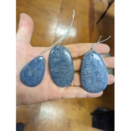 Large Polished Natural Blue Coral Palm Stone Pendant