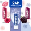 5 Pack Labello Bálsamo Labial