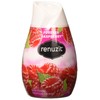 Renuzit Adjustables Gel Air Freshener, Raspberry, 7 Ounce