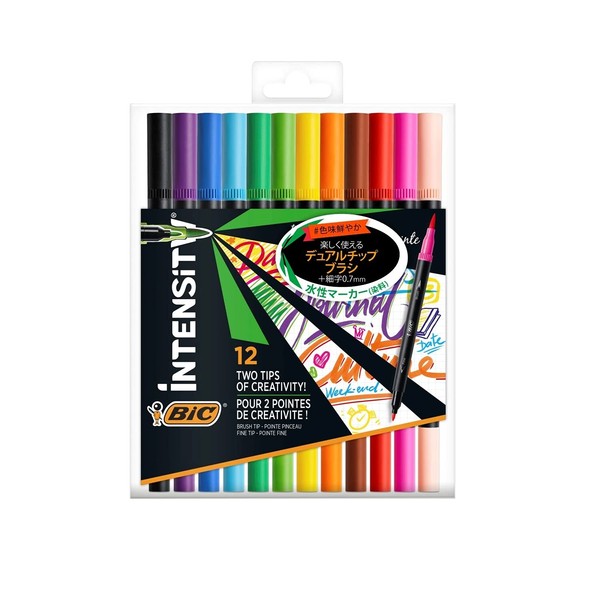 Bic ITS-DUTCMPK12 Water-Based Pen, Brush Pen, Coloring Book, Color Set, Intensity Dual Tip, Marker, 12 Colors