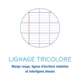 Clairefontaine Calligraphe 18368C Exercise Book DIN A4 21 x 29.7 cm 96 Pages French Ruling 90 g Orange Pack of 1