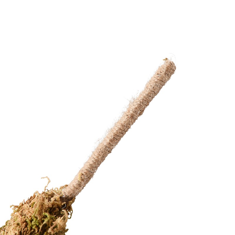 Moss Pole Coconut Stick DIY Modeling Plant Climbing Pole Climbing