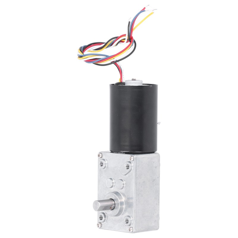 DC Brushless Worm Gear Motor High Torsion Low Noise Turbine