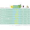 Yokado City Kanoya Organic Blue Papaya Leaf Tea (tea bag