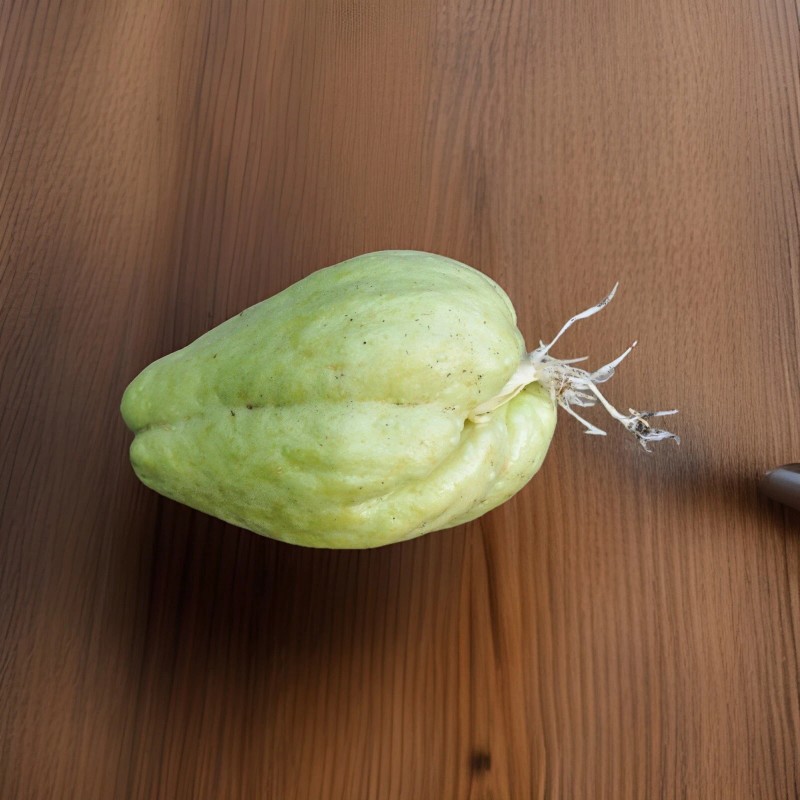 Chayote Squash 1 Sprouted Chayote Squash Ready To Plant Buy