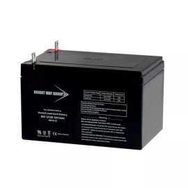 Bright Way Group BW12120NB 12 Volt 12 Amp Hour NB Terminal Battery