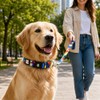 Collar y Correa para Perro con diseño Oficial FIFA –