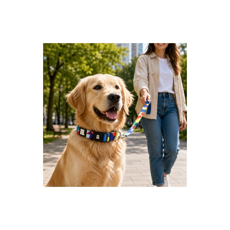 Collar y Correa para Perro con diseño Oficial FIFA –