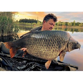 Tandem Baits SuperFeed Pure Dumbells Wafters Salty Crayfish | Carp Fishing Hookbaits | Wafters Fishing Bait | Carp Fishing Bait | Carp Bait | Carp Fishing Accessories for Monster Fish 15x12mm 30g