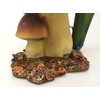 Trippie's Toad ON Toad Stool