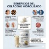 Proteína Whey Vainilla Con Colágeno Probióticos Bariátrico