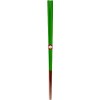 Kawai 104614 Chopsticks Made in Japan Traditional Colors Tokiwa Green