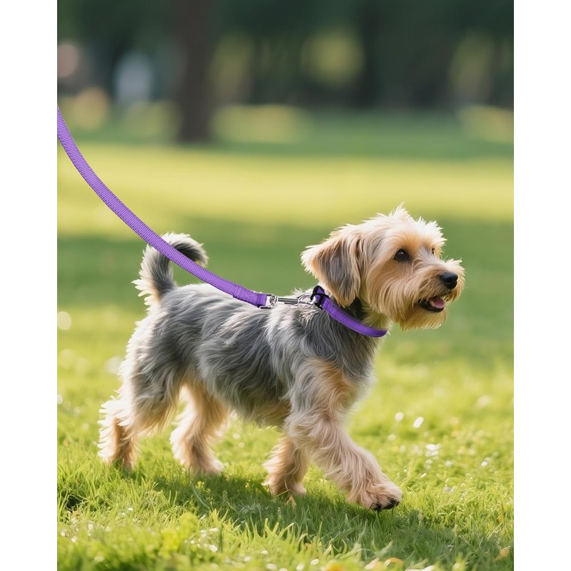 Joytale Dog Collars for Small Dogs, Feather-Light Double-Sided Reflective Nylon