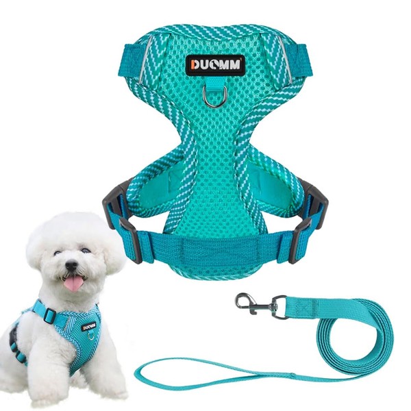 Pet Harness & Lead Set, Dog Harness, Small Dogs and