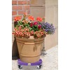 Heavy Duty Purple Plant Caddy with Wheels, 15-20inch Adjustable Rolling