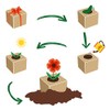 Feel Green Celebrations Ecocube, Orchid Tree, Wooden Cube with Laser