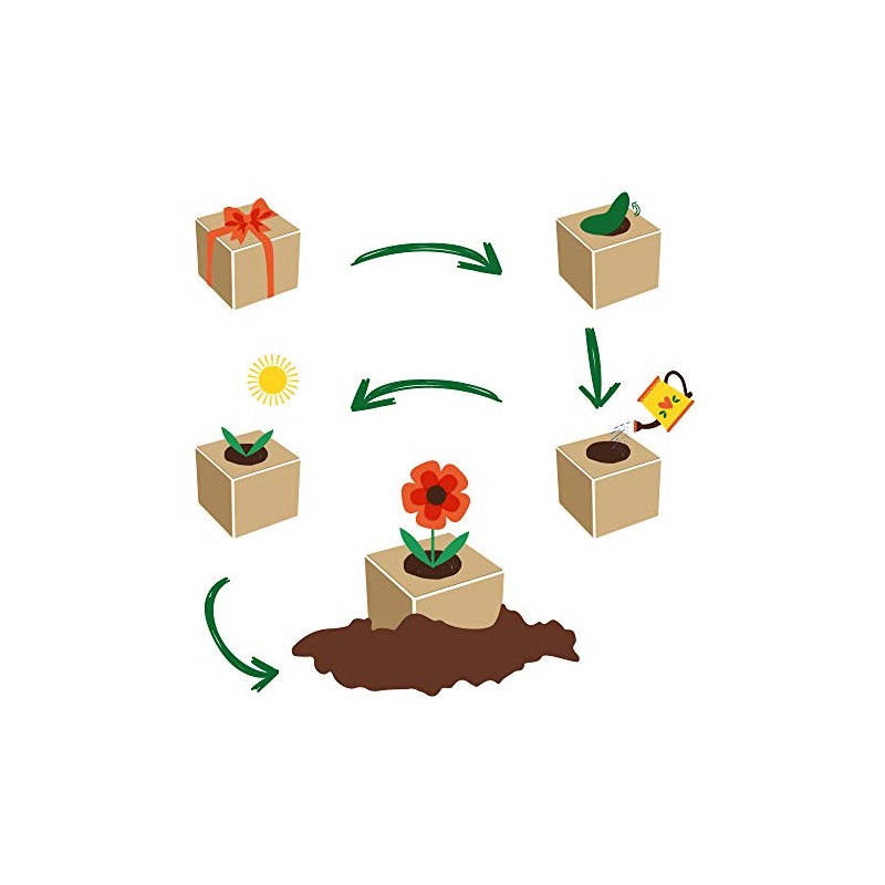 Feel Green Celebrations Ecocube, Orchid Tree, Wooden Cube with Laser