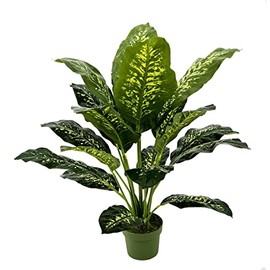 House of Silk Flowers Faux Floor Plant (Dieffenbachia)