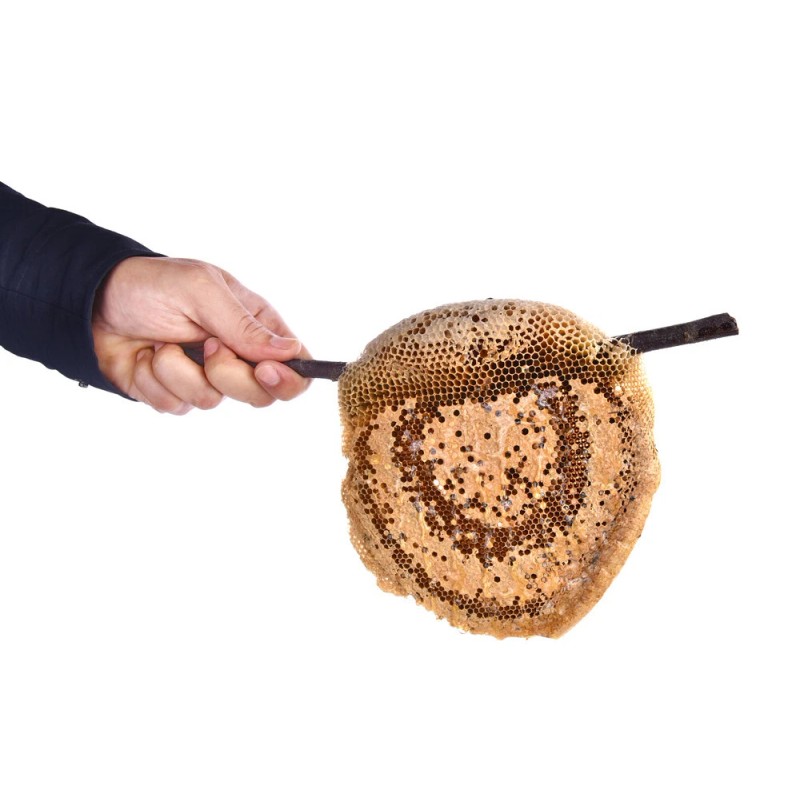 Pure Herbs: Three Bees - 1 oz.