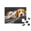 puzzleYOU: Jigsaw Puzzle 100 Piece "Adorable Beagle on the Sofa,
