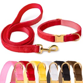 GAMUDA Collar y correa de terciopelo para perro, súper suave y liso, hebilla dorada resistente, cómodo y fácil de limpiar, collar ajustable para perro (XL, rojo)