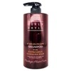 Courishil After Salon Care Extreme Damage Shampoo 500g x2SET(SH) - Basic / 커리쉴 에프터 살롱 케어 극손상 샴푸 500g x2SET(SH) - 기본