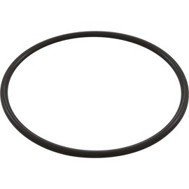 Waterway Plastics 806105129826 6" Trap Lid O-Ring