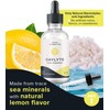 Daylyte Electrolyte Drops, Lemon, Sugar Free Daily Hydration Supplement with