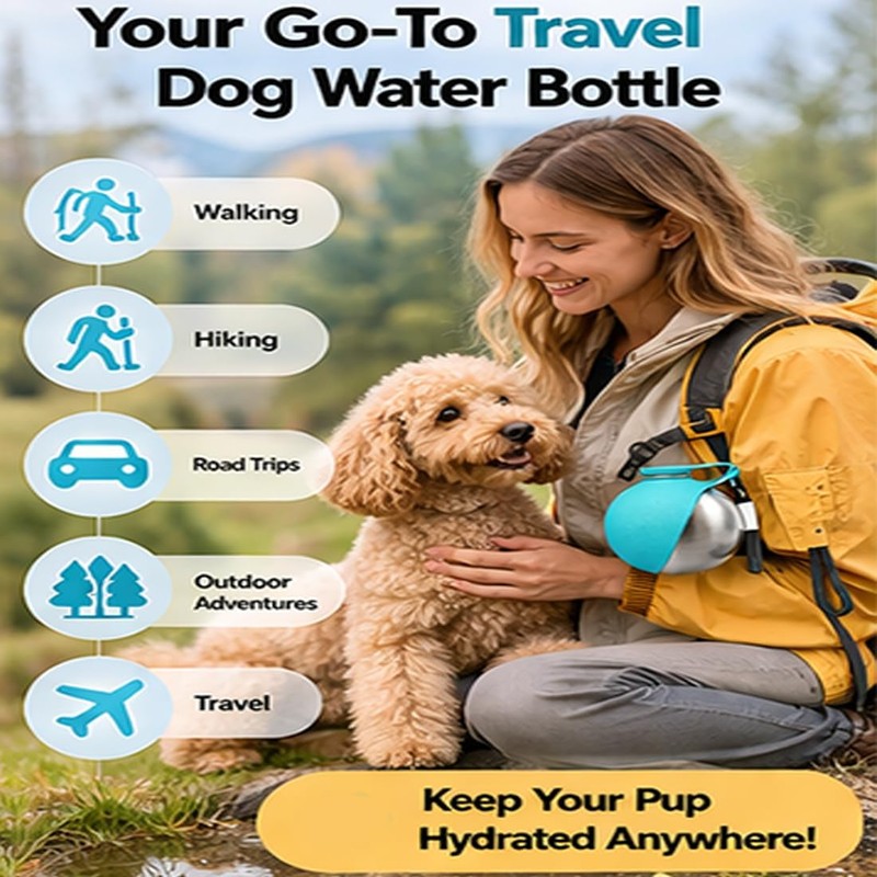 2-in-1 Dog Water Bottle & Bowl, Portable Stainless Steel Travel