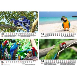 Arazauber DIN A5 Desk Calendar for 2026 Macaw Parrots - Gift Set Contents: 1 x Calendar 1 x Christmas Pendant 1 x Greeting Tag (3 Pieces Total)