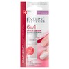 Eveline, Colourful Nail Conditioner Care Colour Nail 6 in 1