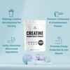 DEAL SUPPLEMENT 2 Pack Instant Creatine Monohydrate Powder 600 Grams