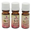 Artidee Creartec - Set of 3 Seasons - Consisting of
