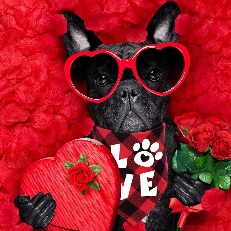 STMK 2 Pack Valentines Dog Bandanas, Dog Valentines Bandana for