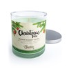 Christmas Tree Scented Natural Soy Candle, Essential Fragrance Oils, 100%