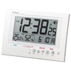 MAG W-785WH-Z Digital Guard Man Wall Clock, Radio Watch, Environment