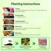 Outsidepride Xtreme Pastel Mix Impatiens Flower Seeds - 75 Pcs