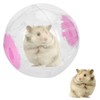 Pet Golden Hamsters Exercise Ball Toy Running Machine Transparent Jogging