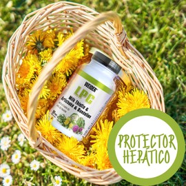 Weider LPC, Vitamine, 1er Pack (1 x 90 Kapseln)