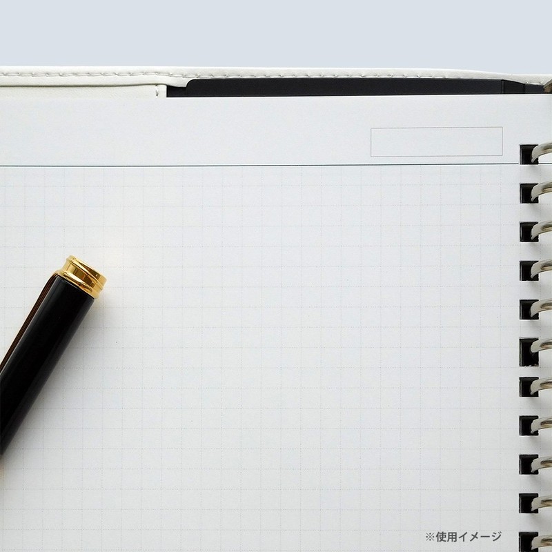 Maruman loose-leaf ziurisu A5 20 Hole 5 mm Grid Ruled