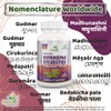 Ayushya Gymnema Sylvestre (Madhunaashini) Capsule, 500 mg Pure Extract, 60