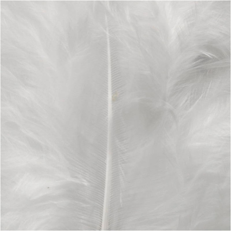 51663 Create Craft - Feathers Turkey 50G White