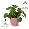 elho Vibes Fold Round with Self-Watering System - Flower Pot