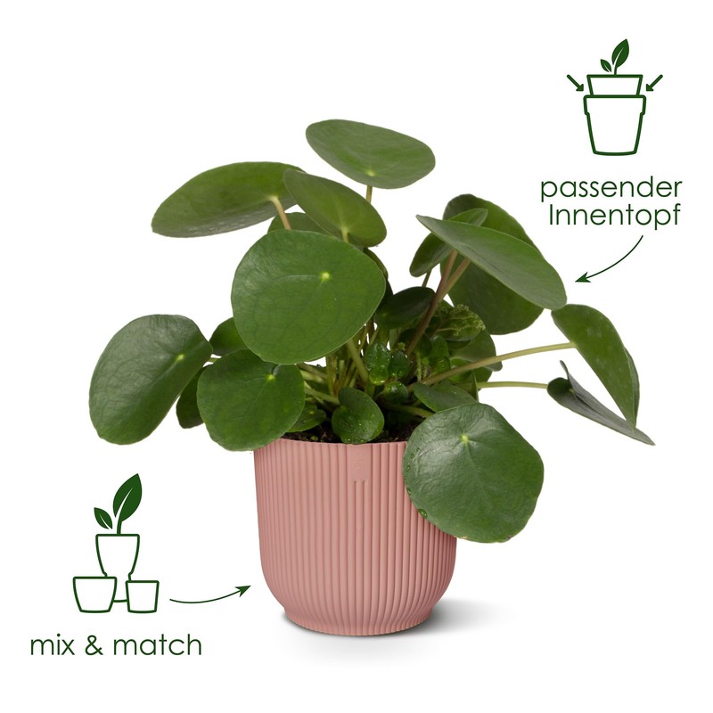 elho Vibes Fold Round with Self-Watering System - Flower Pot