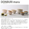 Takenaka Donburi Round Dry Lacquer Bowl, Made in Japan, Light